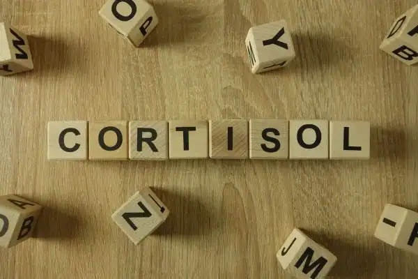 The Hidden Connection: How Stress Shapes Your Fitness and Body Composition 2 Image saying "Cortisol" and how stress Rickmansworth impacts your wellbeing and bodies shape